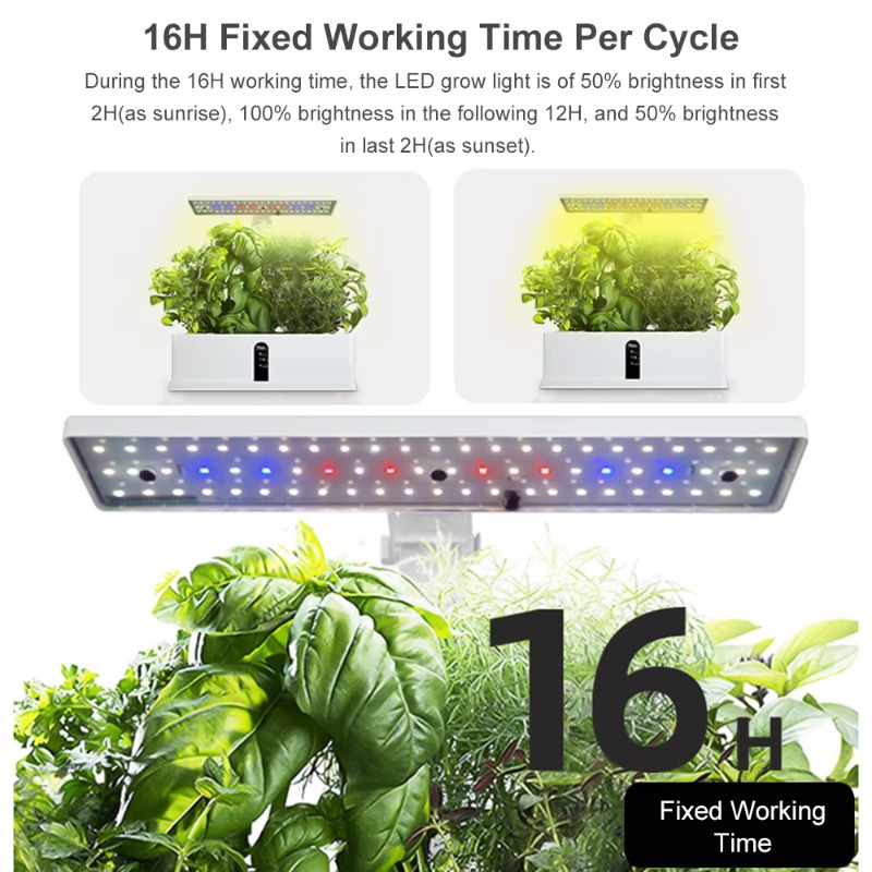 Sistem Penanaman Hidroponik Pi - Smart Garden ulasan dan harga