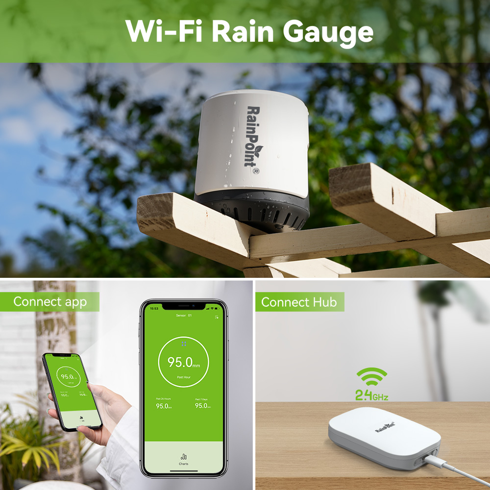 RAINPOINT Pengukur Curah Hujan - Rain Gauge Digital ulasan dan harga
