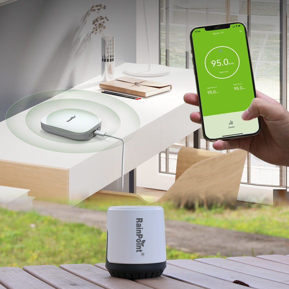 RAINPOINT Pengukur Curah Hujan - Rain Gauge Digital ulasan dan harga