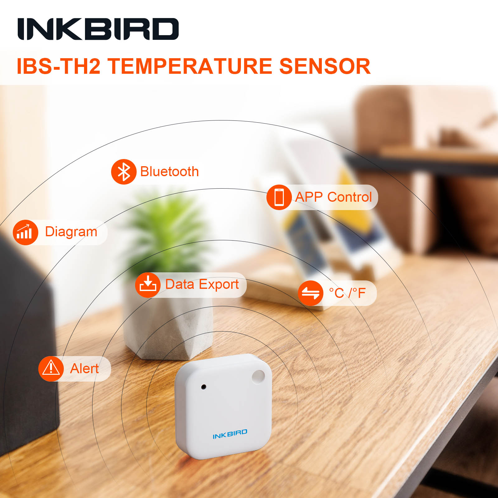 INKBIRD termometer dalam ruang - Rain Gauge Digital ulasan dan harga