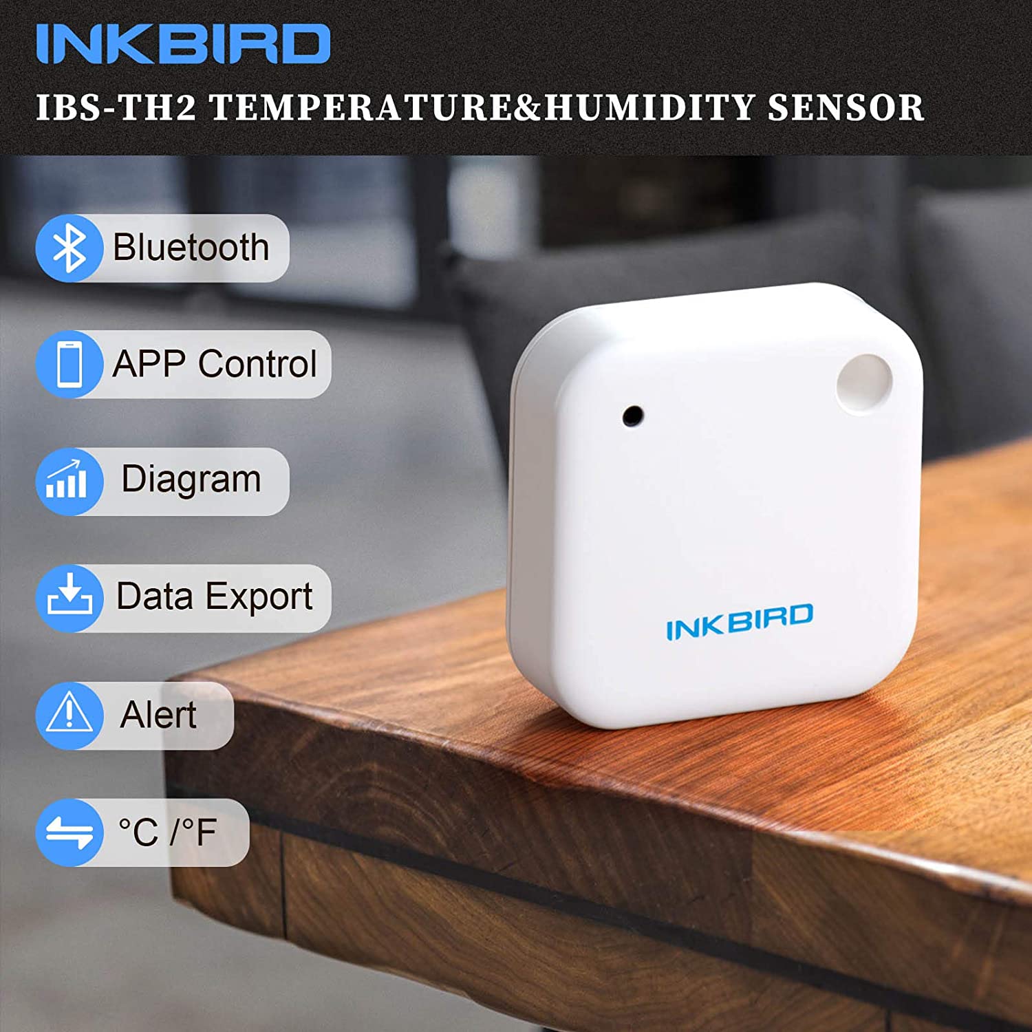 IBS-TH2 Tahan Air Bluetooth Ma - Rain Gauge Digital ulasan dan harga