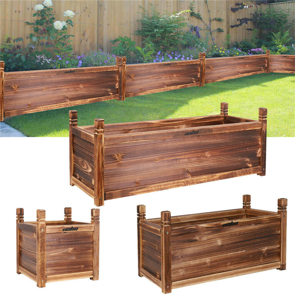 Tempat tidur bunga naik kayu d - Indoor Herb Garden Kit ulasan dan harga