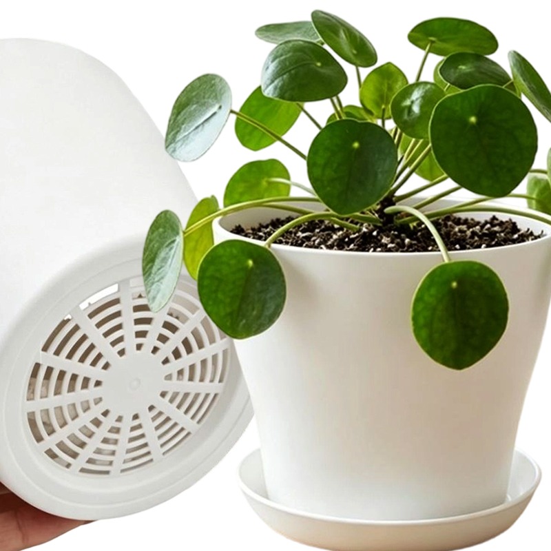 Set Pot Tanaman dengan Lubang  - Indoor Herb Garden Kit ulasan dan harga